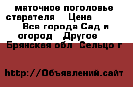 маточное поголовье старателя  › Цена ­ 3 700 - Все города Сад и огород » Другое   . Брянская обл.,Сельцо г.